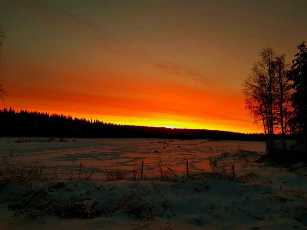 Miekojaervi Resort Пело Екстериор снимка